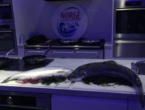 unique fjord trout Lunchbox World