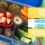 healthy lunch box idea example of what a grab and go lunch box can look like