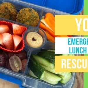 healthy lunch box idea example of what a grab and go lunch box can look like