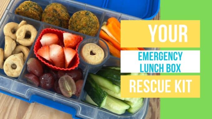 healthy lunch box idea example of what a grab and go lunch box can look like